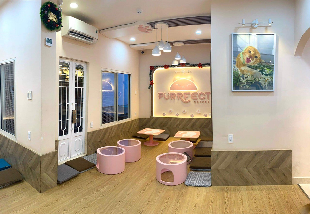 thiet-ke-thi-cong-quan-ca-phe-thu-cung-anh-gia-khang-group-Anh Gia Khang Group