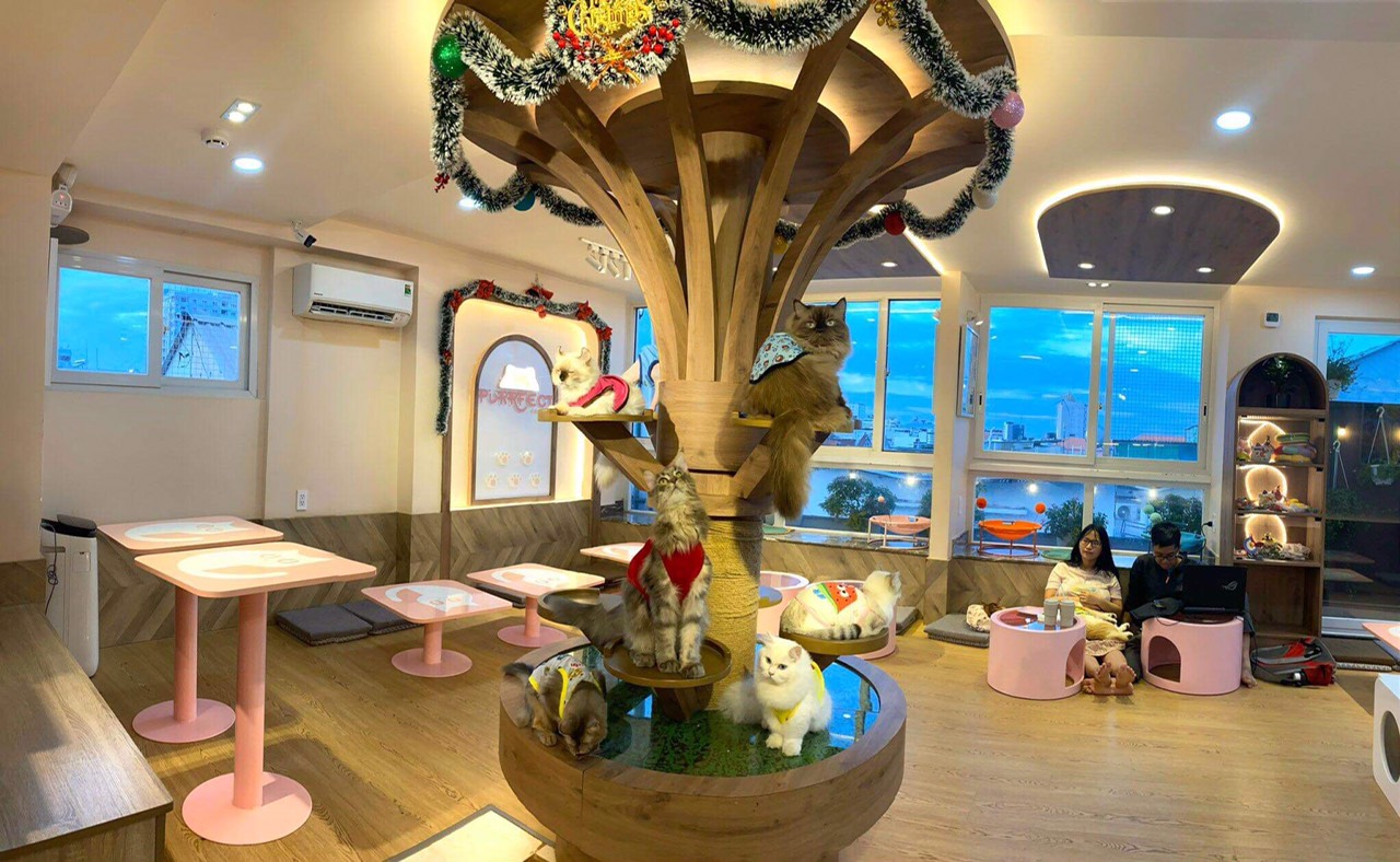 thiet-ke-thi-cong-quan-ca-phe-thu-cung-anh-gia-khang-group-ANH Gia Khang Group