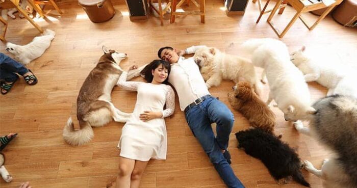 CÀ PHÊ THÚ CƯNG THÂN THIỆN