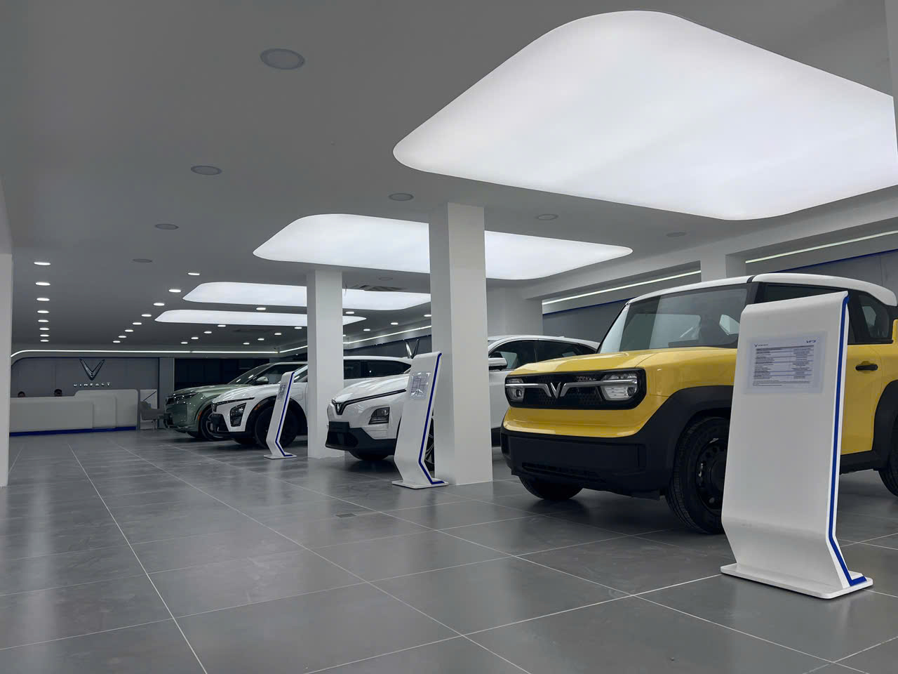 THIẾT KẾ SHOWROOM 